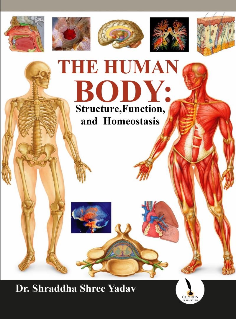 The Human Body: Structure, Function, and Homeostasis